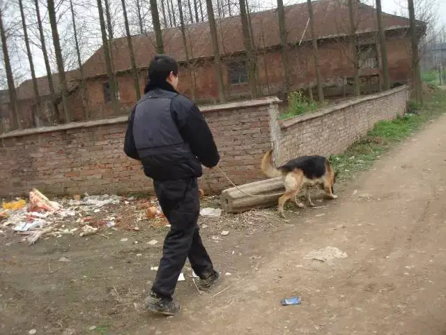 _2