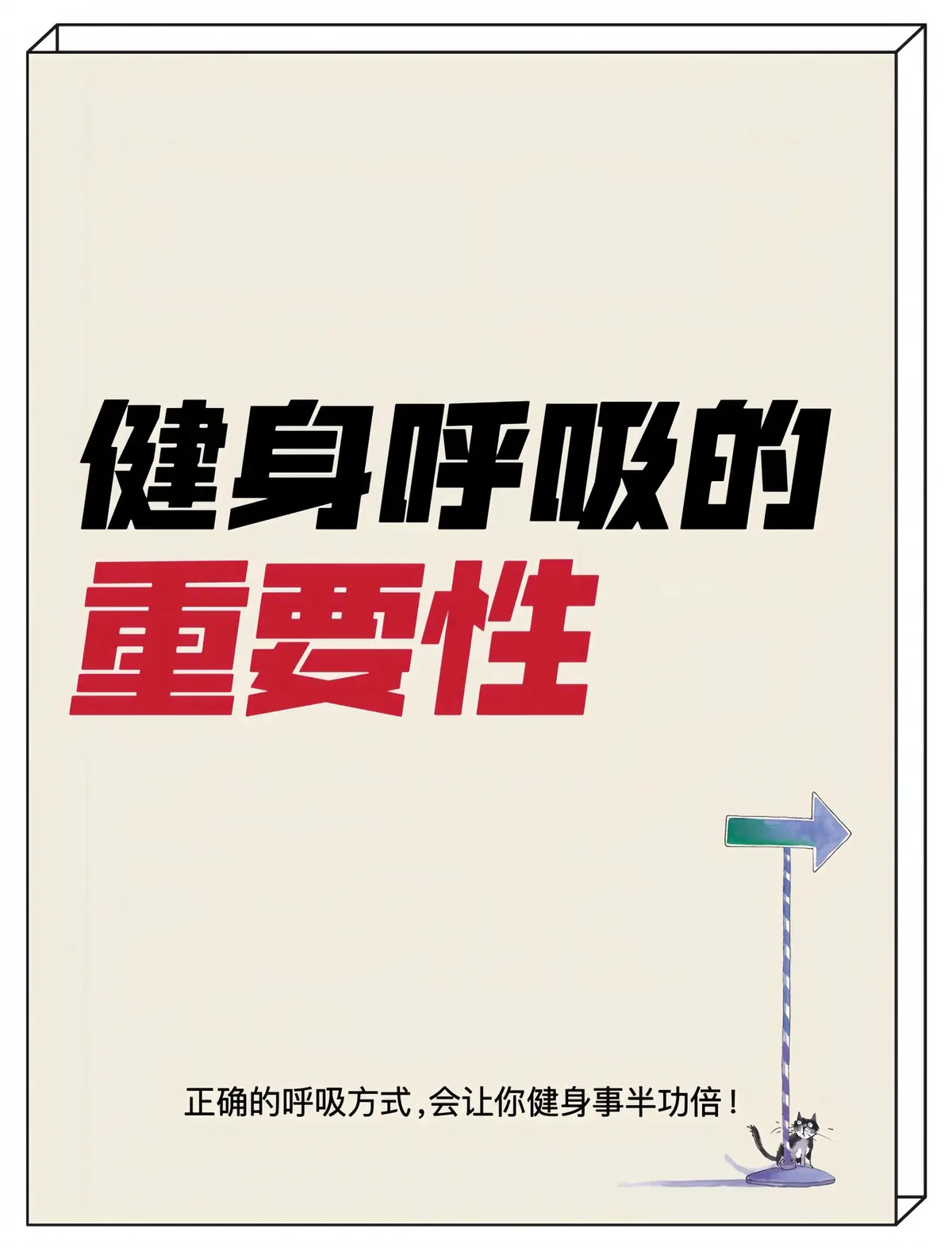 篮球协调训练的成功案例分析_1
